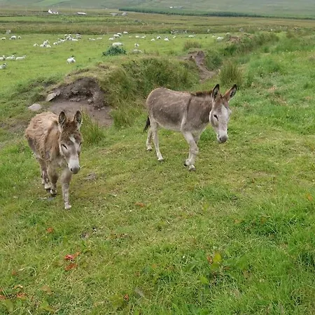 Apartmán Skellig View Harbour View Sunrise Portmagee