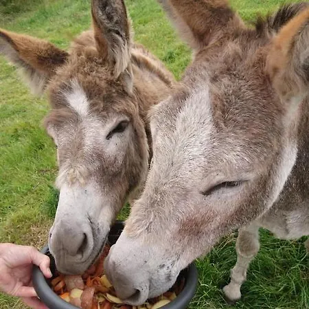 Apartment Skellig View Harbour View Sunrise Portmagee