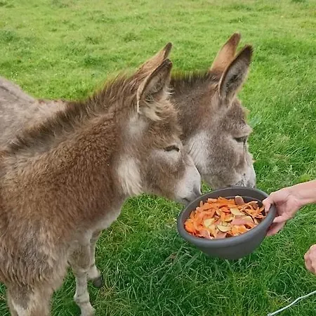 Apartmán Skellig View Harbour View Sunrise *