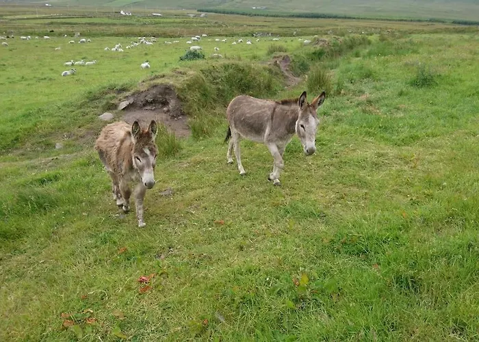 דירה Skellig View Harbour View Sunrise פורטמגי