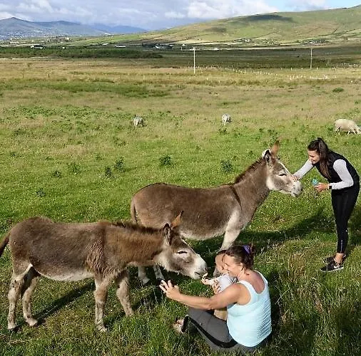 Skellig View Harbour View Sunrise * 波托马里