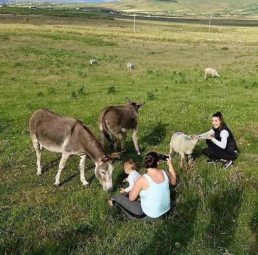 Appartement Skellig View Harbour View Sunrise